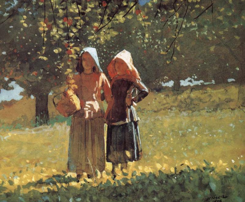 Winslow Homer Mining Apple Norge oil painting art
